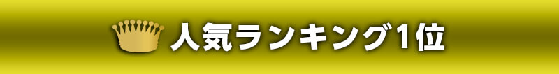 人気ランキング1位